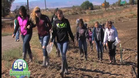 Restoring a Riparian Habitat