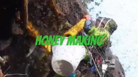 Honey making