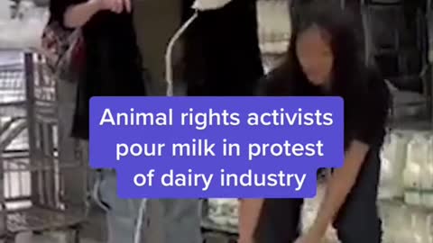 Animal rights activists pour milk in protest of dairy industry