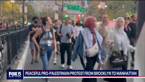 Pro-Palestinian rally floods Brooklyn Bridge