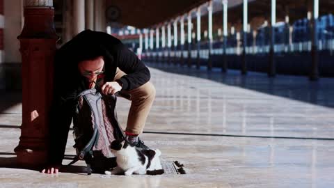 Young man traveller sitting on the station with street cats