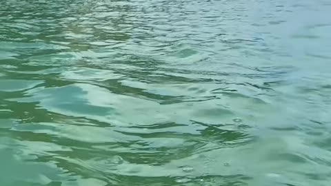 Curtindo uma tarde na praia de Quatro Ilhas, Bombinhas - SC | Som Ambiente