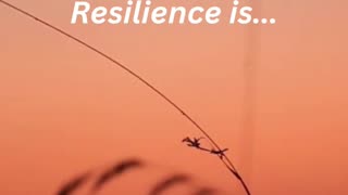 Motivational Quote - Resilience