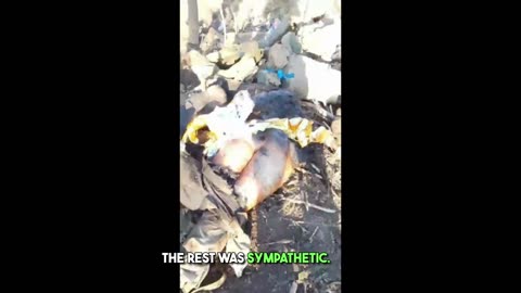 Mountains of corpses of Ukrainian troops🐷🇺🇦on the Artyomovsky direction