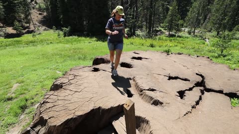 Jogging on the Mark Twain stump