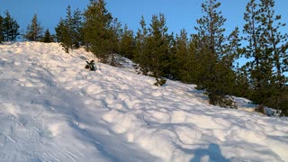 Hiking Up STEEP Ridge – White River West Sno Park – Mount Hood – Oregon – 4K