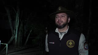 Pasear bajo la luna llena por las Cataratas de Iguazú, una experiencia sensorial