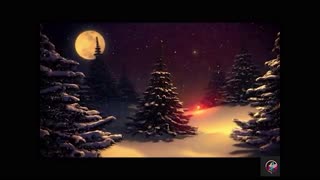 Winter Wonder - The Florin Street Band - Original Christmas Songs #christmassong # christmas