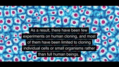 Experiments on human cloning