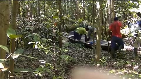 Fly Fishing in Amazon Jungle, Peru