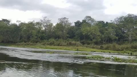 Canoe at rapti sauraha