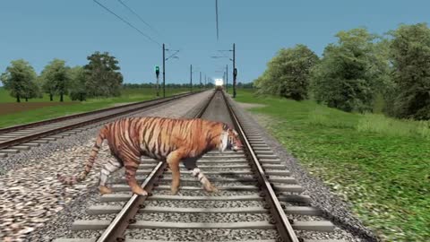 Tiger & monkd stops the train - Train Simulator_Cut