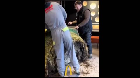 Farmers storm McDonald's restaurant in France 👀🚜