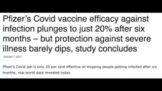 Vaccines "Highly Effective"
