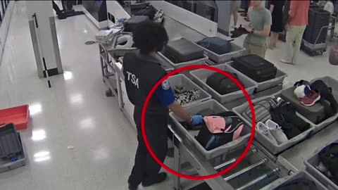 Do you trust the TSA with your bags?