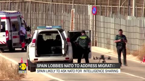 Spain lobbies NATO, allies over Ukraine-driven migration | Latest English News | WION