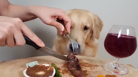 My Dog Eating Show Steak& Wine Asparagus Mukbang