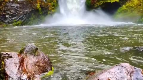 TOKEEE FALLS OREGAN LOOKS LIKE A TWO-TIERED WATERFALL INSIDE A PETRIFIED TREE STUMP