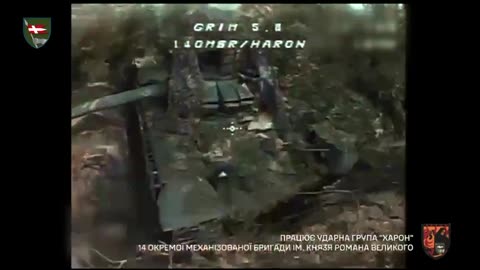 Ukrainian Drone Finds a Russian Tank Hiding in the Trees