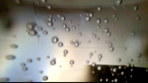 soda bubbles wob wob wob