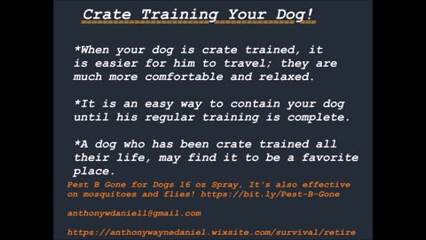 Crate Training Your Dog!