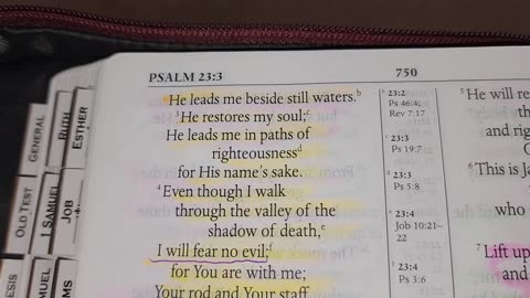 Psalm 23 - MEV Bible