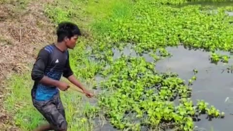 simple Bamboo Crossbow Fishing Technique