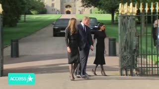 Prince Harry & Prince William Have Sweet Moment w Dog In Crowds