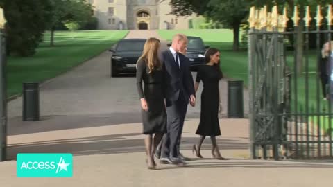 Prince Harry & Prince William Have Sweet Moment w Dog In Crowds