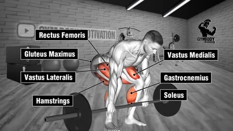 Leg Day Revolution Transfrom Your Legs With Targeted Exercises