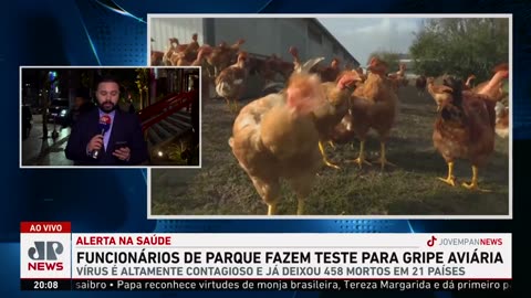 Funcionários de parque fazem teste para gripe aviária