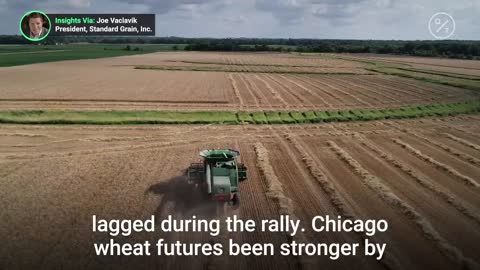 Is a post-harvest rally possible for winter wheat futures?