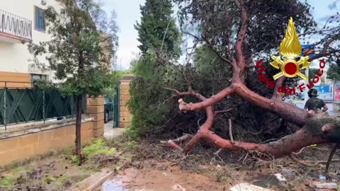 A Lecce alberi precipitano su auto, abbattuti dalla furia della tromba d'aria