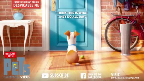 The Secret Life Of Pets