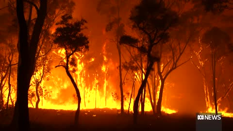 Australians urged to prepare bushfire plans ahead of summer ABC News