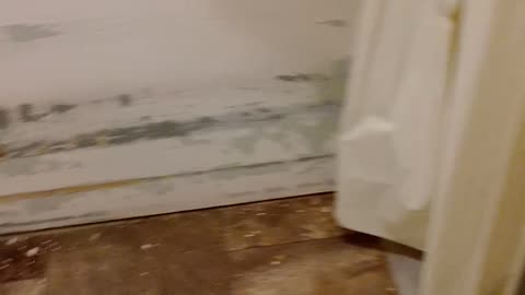 VID_20230119_130723 (Toilet Fixed to Late, Shower Never Possible) Mold Mildew Obvious