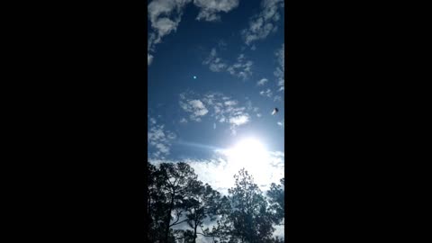 UFO Flies by my House