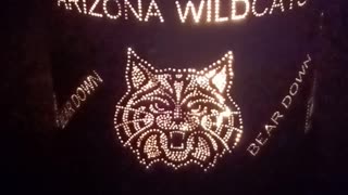 Wildcats Barrel