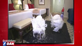 The Real Story - OAN Turkey's Pardoned