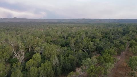 25_Early dry season prescribed burning at Wongalara Wildlife Sanctuary