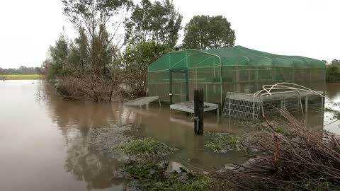 悉尼连日降雨引发洪灾自家房屋四度被淹：灾民表示“受够了！