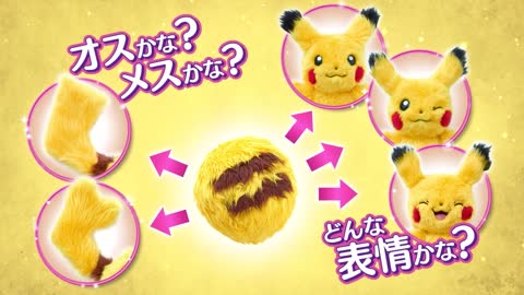 【WHO are YOU? ポケモン】ピカチュウやイーブイに大変身！たいせつにお世話してあげよう！｜セガトイズ