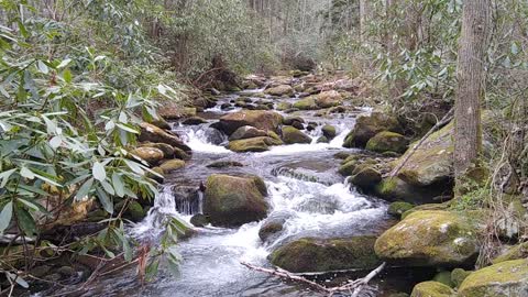 Flowing Water and Mossy Rocks