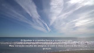 SALMOS 28