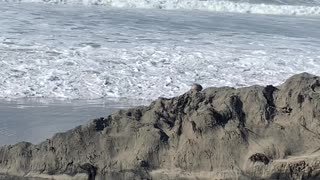 Man Gets Knocked Down By Big Wave