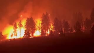 🔥🇺🇲 Wildfire on Oregon Road near Elk, Washington.