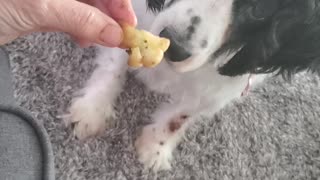 Broccoli and Cauliflower are yummy