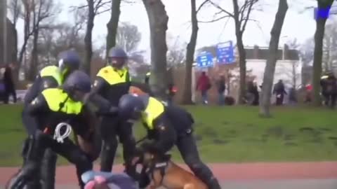 Police Brutality In Amsterdam Should Be Causing International Outrage