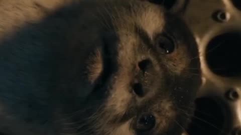 Guardians of the Galaxy sad video