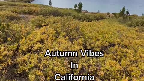 Autumn VibesInCalifornia